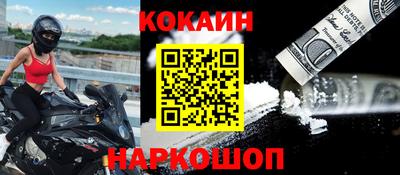 крисы Моздок