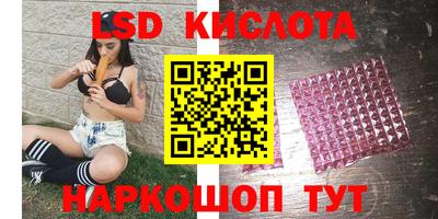 крисы Моздок