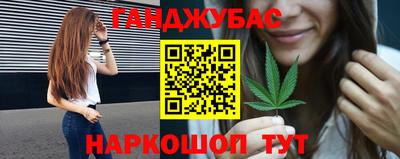 крисы Моздок