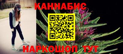 крисы Моздок
