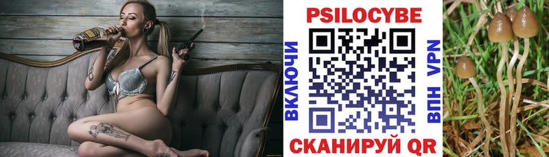 Псилоцибиновые грибы GOLDEN TEACHER  блэк спрут ССЫЛКА  Глазов  купить наркотик 