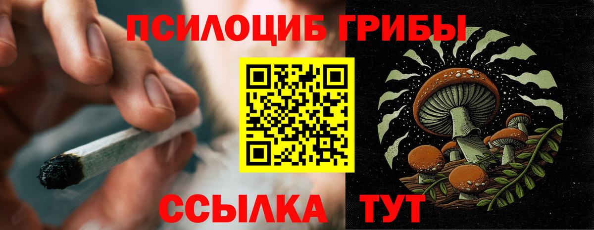 Глазов  Псилоцибиновые грибы прущие грибы  Галлюциногенные грибы мухоморы  Вход с VPN 