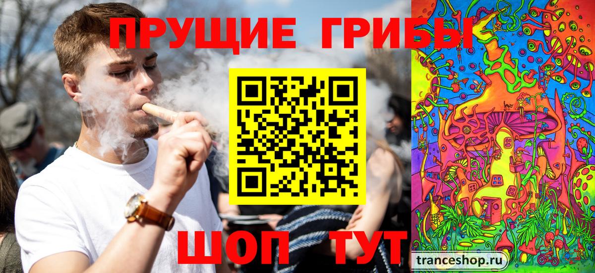 Галлюциногенные грибы Psilocybine cubensis Глазов